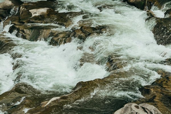 Guide des sports nautiques à pratiquer lors de vos vacances à la plage